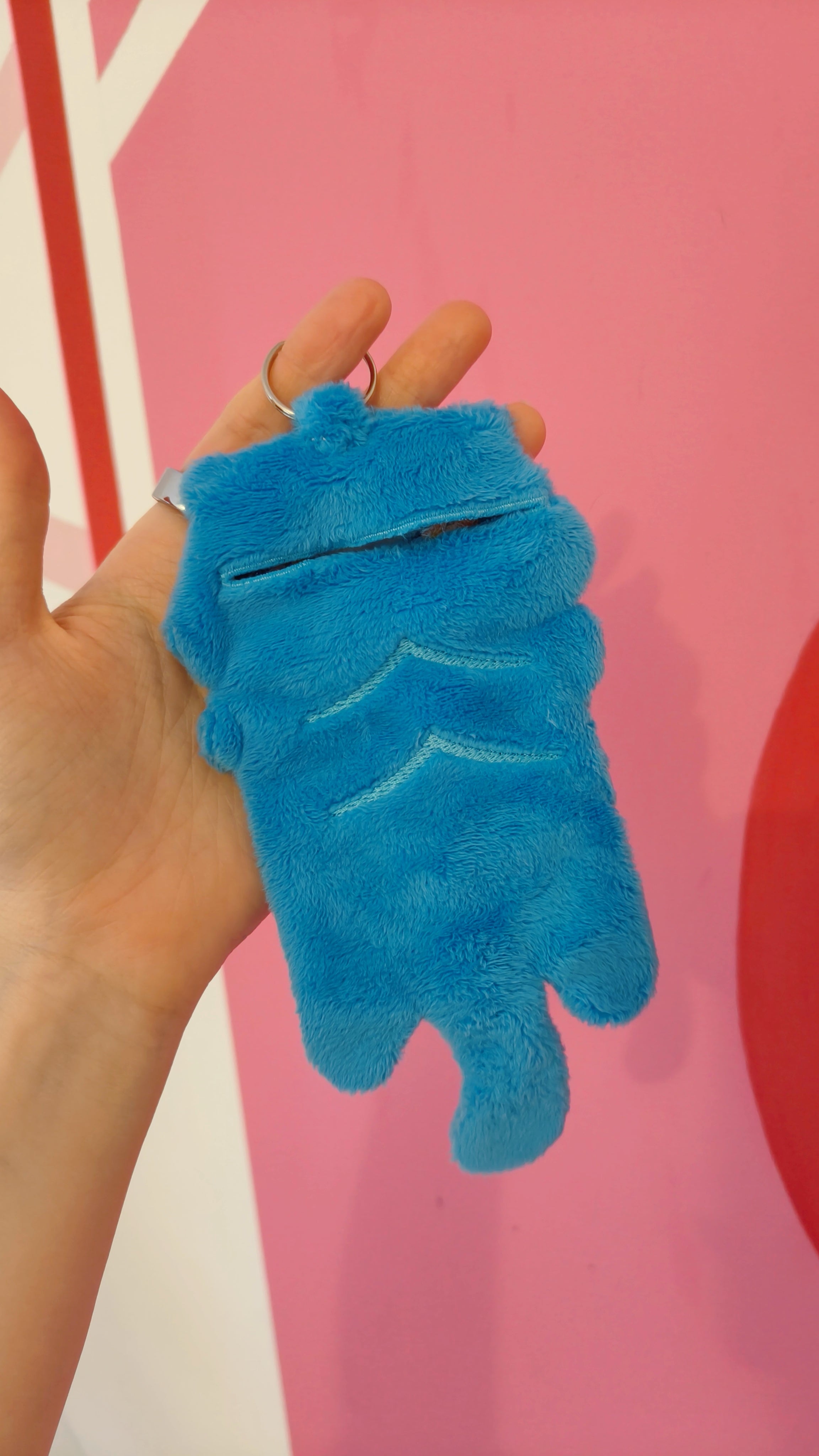 PRE ORDER Derpy Kpop Tiger Photocard Holder